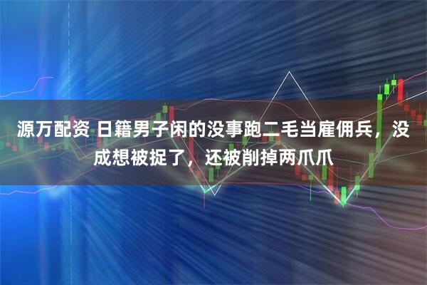 源万配资 日籍男子闲的没事跑二毛当雇佣兵，没成想被捉了，还被削掉两爪爪