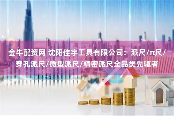 金牛配资网 沈阳佳宇工具有限公司:派尺/π尺/穿孔派尺/微型派尺/精密派尺全品类先驱者