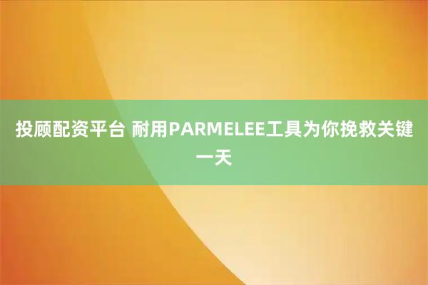 投顾配资平台 耐用PARMELEE工具为你挽救关键一天