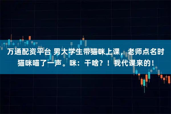 万通配资平台 男大学生带猫咪上课，老师点名时猫咪喵了一声。咪：干啥？！我代课来的！